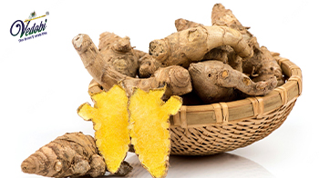 कचूर के फायदे, उपयोग और नुकसान