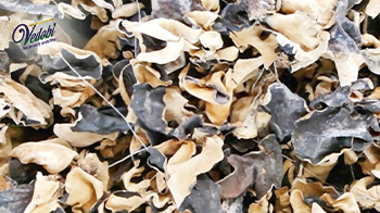 Stone Flower (Patthar Phool): Health benefits, Uses and Side effects