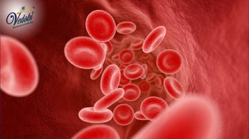 What is Blood Infection (Sepsis)? Know its Causes, Symptoms and Prevention