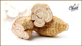 जानें, विदारीकंद के आयुर्वेद में महत्व, फायदे एवं उपयोग