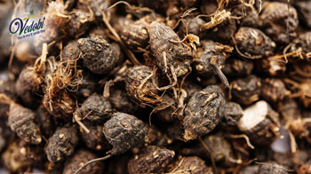 नागरमोथा क्या है? जानें, इसके फायदे और उपयोग