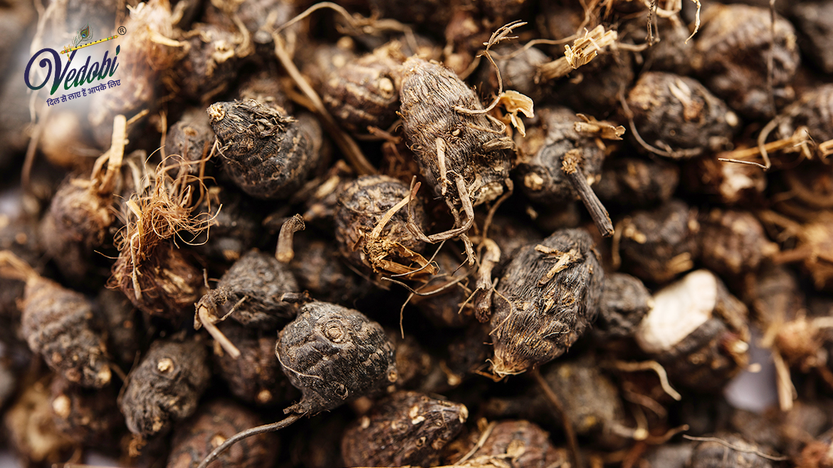 नागरमोथा क्या है? जानें, इसके फायदे और उपयोग