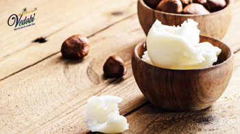 What is Shea Butter? Know its Benefits, Uses and Side effects