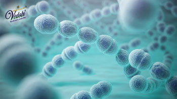 What is Pneumococcal disease? Know its Types, Symptoms and Diagnosis