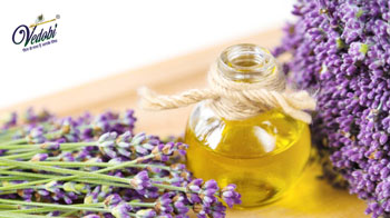 क्या है लैवेंडर ? जानें, इसके फायदे और नुकसान