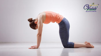 Process and Benefits of doing Marjari asana