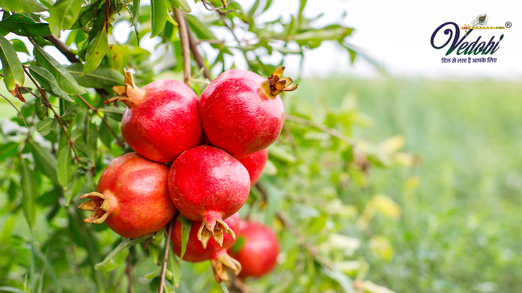 अनार के फायदे और नुकसान