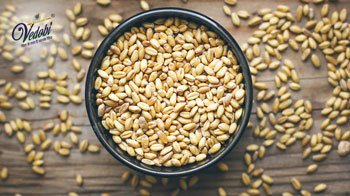 आखिर क्यों गेहूं को अनाज का राजा कहा जाता है?