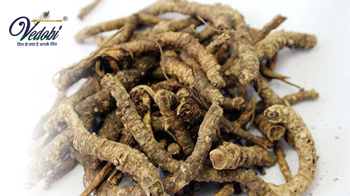 Know about the health benefits of Kutki