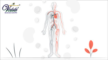 कब होती है नसों में कमजोरी? जानें इसके कारण, लक्षण और निदान
