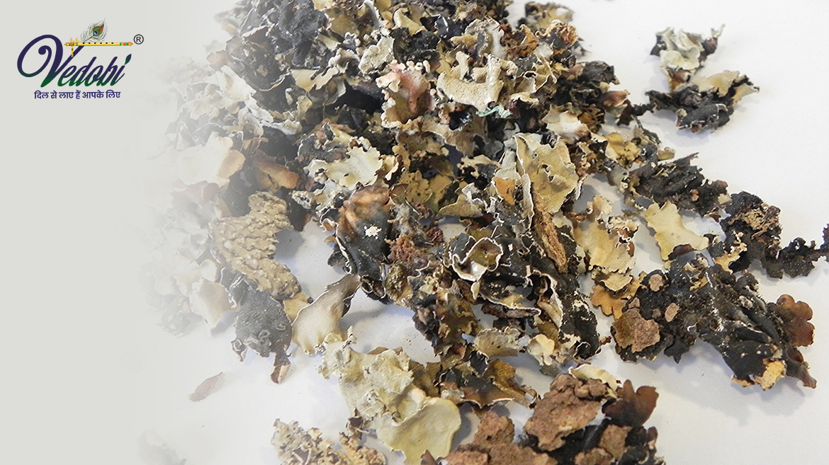 स्टोन फ्लॉवर (पत्थर फूल) के स्वास्थ्य लाभ, उपयोग और दुष्प्रभाव