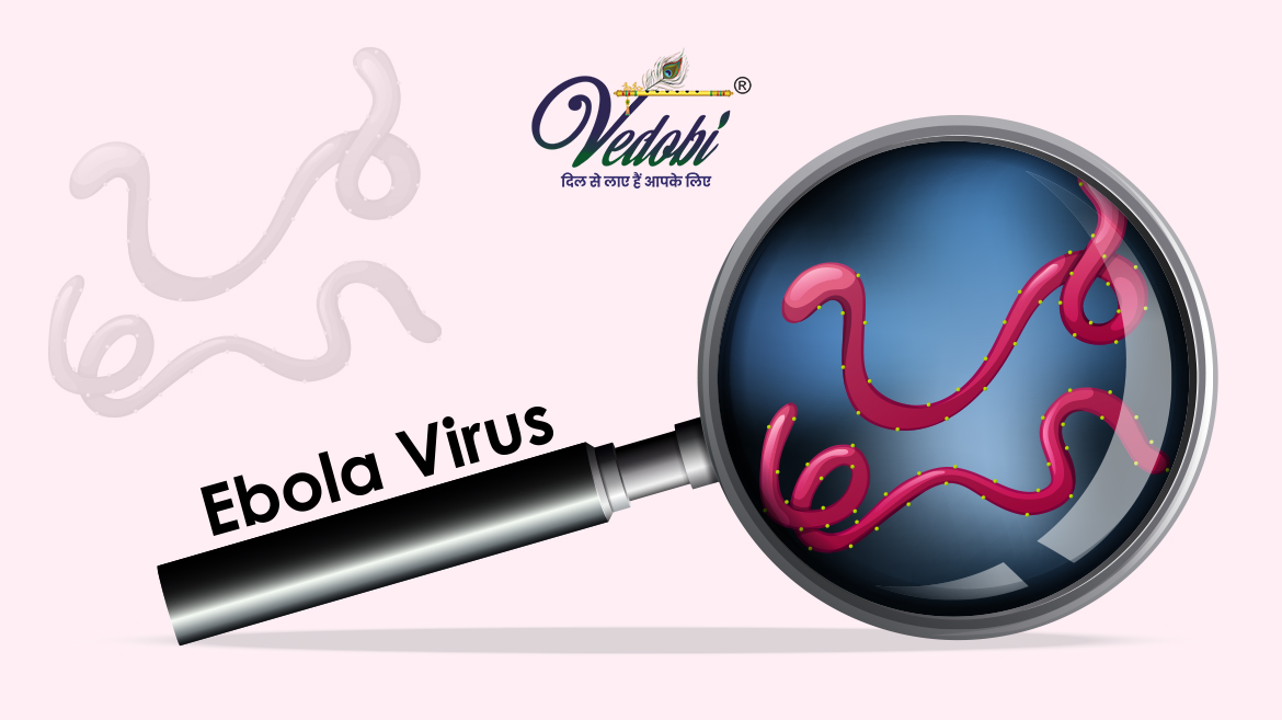 What is Ebola virus and how does it spread?