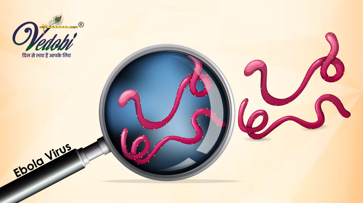 क्या होता है इबोला? जानें इसके कारण, लक्षण और बचाव के उपाय