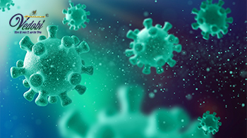 क्या है निपाह वायरस? जानें लक्षण, कारण और बचाव के उपाय