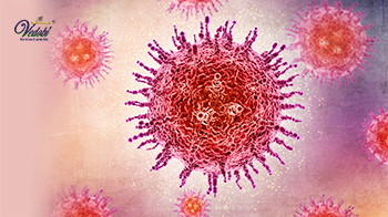 Zika Virus- Know its Causes, Symptoms and remedies