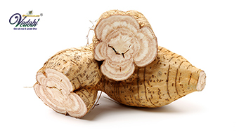 Know the Importance, Benefits, and Uses of Vidarikand in Ayurveda